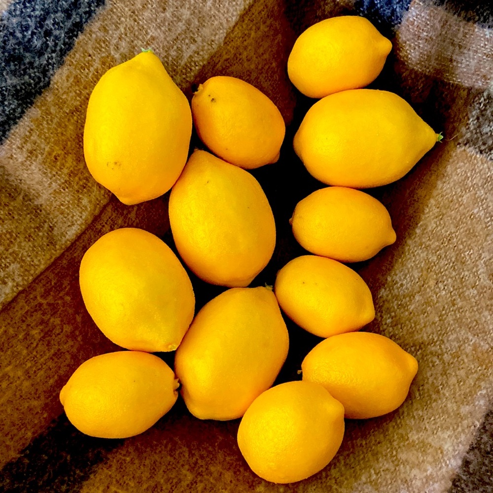 Dozen artificial, decorative lemons